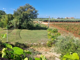 Villa Novigrad (Istrien) Ambiente 34