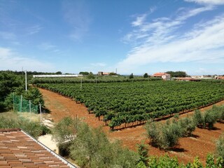 Villa Novigrad (Istrien) Ambiente 36