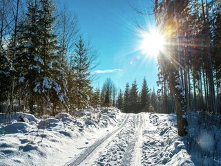 Apartment Nová Pec Umgebung 12