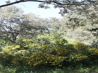 Villa Saint-Siffret Environnement 36