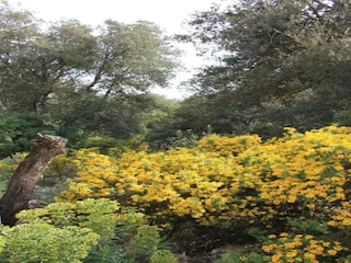 Villa Saint-Siffret Environnement 33