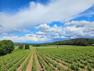 Villa Saint-Siffret Environnement 40