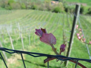 Appartamento per vacanze Fehring Ambiente 9