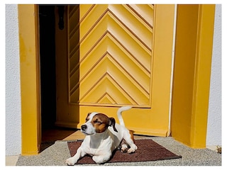 Hundefreundliche Unterkunft (komplett eingezäunt)