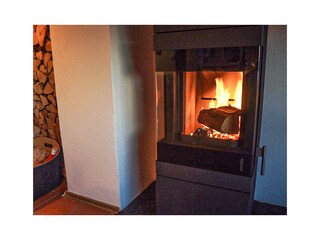 Wood stove