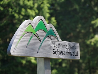 Black Forest National Park (7 km)