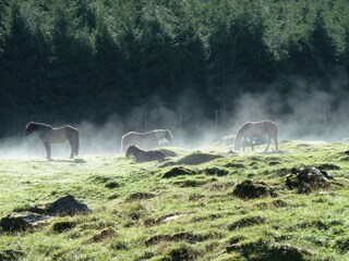 Casa per le vacanze Rauris Ambiente 22