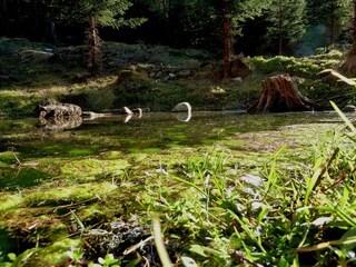 Casa per le vacanze Rauris Ambiente 23