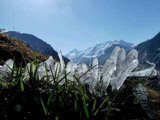 Casa per le vacanze Rauris Ambiente 25