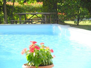 Nice private pool