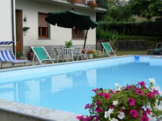 Pool and front of the house