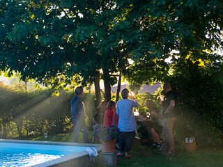 garden and pool