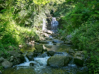 in der Nähe Wasserfall zum wilden Schwimmen
