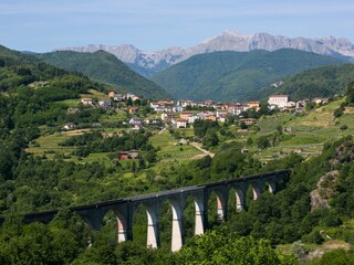 Local view