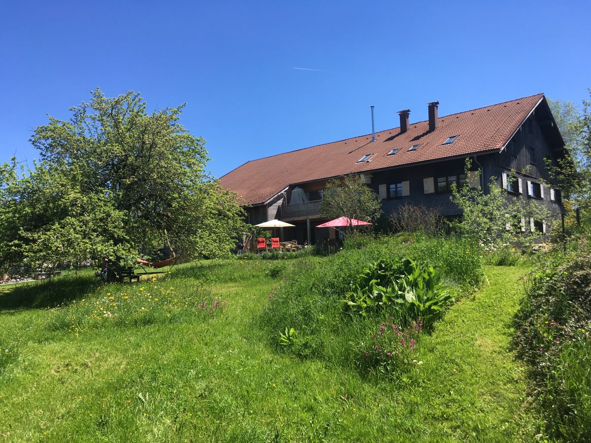 Haus Gartenseite im Sommer