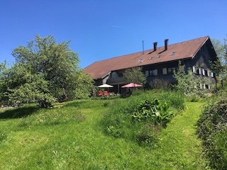 Haus Gartenseite im Sommer