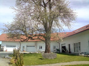 Ferienwohnung Ferien- und Obsthof "Sonnenhalde" - Lindau am Bodensee - image1