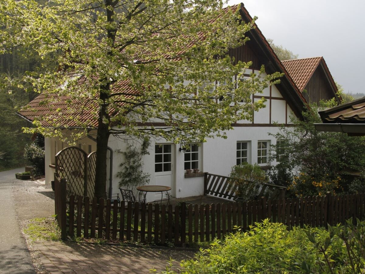 Ferienhaus Horn-Bad Meinberg Außenaufnahme 1