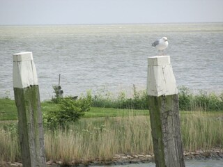 Casa per le vacanze Lemmer Ambiente 22