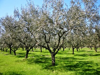 Villa Dobrinj Ambiente 32