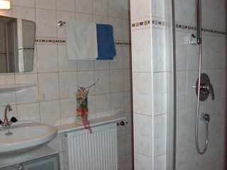 Appartamento per vacanze Zell am Moos Caratteristiche 8