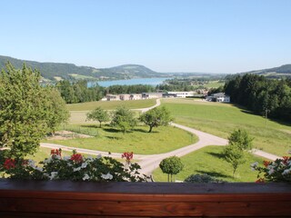 Appartamento per vacanze Zell am Moos Ambiente 14