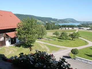 Holiday apartment Zell am Moos Environment 15