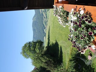 Appartamento per vacanze Zell am Moos Ambiente 17