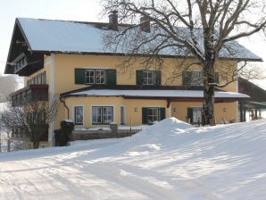 Vakantieappartement Am Irrsee - Pensione Winter