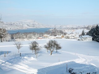 Appartamento per vacanze Zell am Moos Ambiente 12