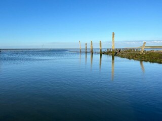 Casa de vacaciones De Koog Entorno 25
