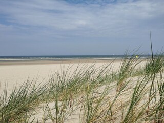 Vakantiehuis Nieuwvliet Omgeving 21