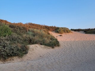 Vakantiehuis Nieuwvliet Omgeving 29