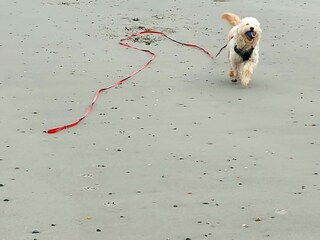 Vakantiehuis Nieuwvliet Omgeving 22