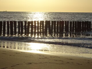 Vakantiehuis Nieuwvliet Omgeving 30