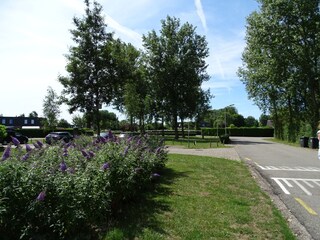 Vakantiehuis Nieuwvliet Omgeving 35