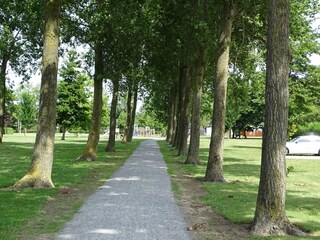 Vakantiehuis Nieuwvliet Omgeving 34