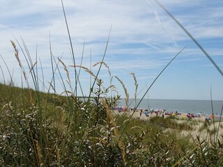 Vakantiehuis Nieuwvliet Omgeving 24