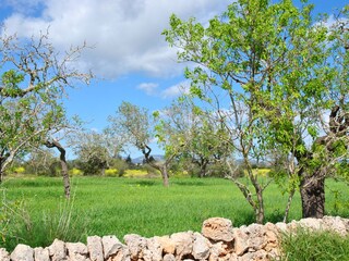 Finca Campos Omgeving 37