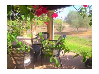 Finca Campos Outdoor Recording 15