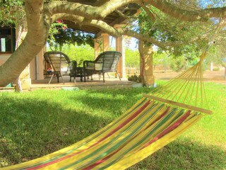 Finca Campos Outdoor Recording 17