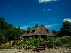 Ferienwohnung Chabrowy - Węgorzewo - image1