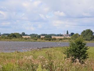 Vogelschutzgebiet life erleben