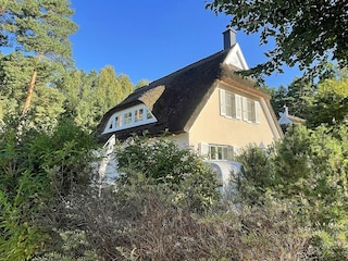 Hauptansicht