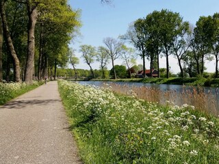 Appartamento per vacanze Cadzand-Bad Ambiente 12