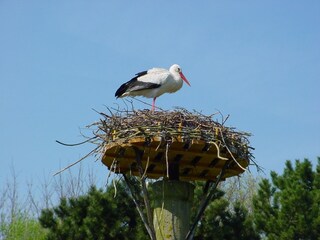 Appartamento per vacanze Cadzand-Bad Ambiente 14