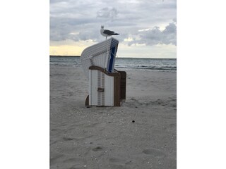 Bungalow Wieck Registrazione all'aperto 9