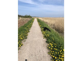 Bungalow Wieck Registrazione all'aperto 11