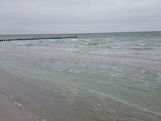 Bungalow Wieck Environnement 25