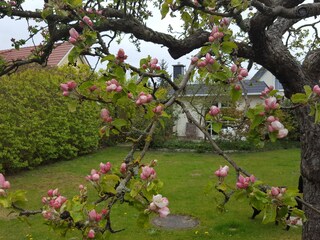 Bungalow Wieck Registrazione all'aperto 2